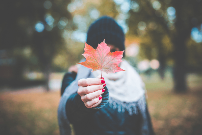 Balades d'Automne