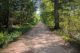 Balade Au détour de la forêt de Grosbois