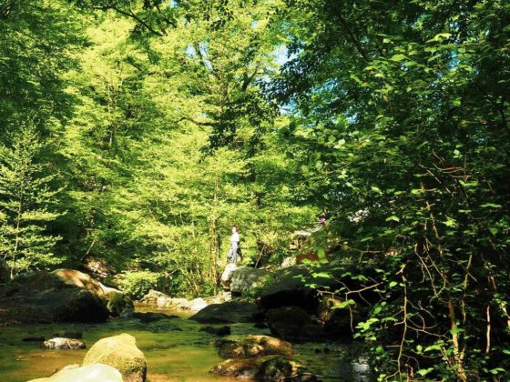 helloways rambouillet