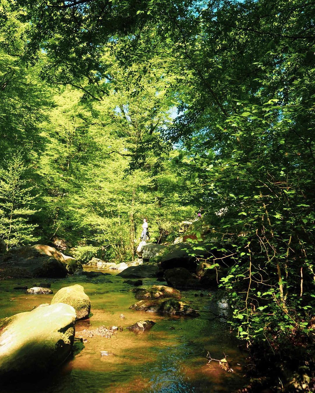 Les Plus Beaux Endroits De La Forêt De Rambouillet Top 4 de vos plus belles photos de Rambouillet