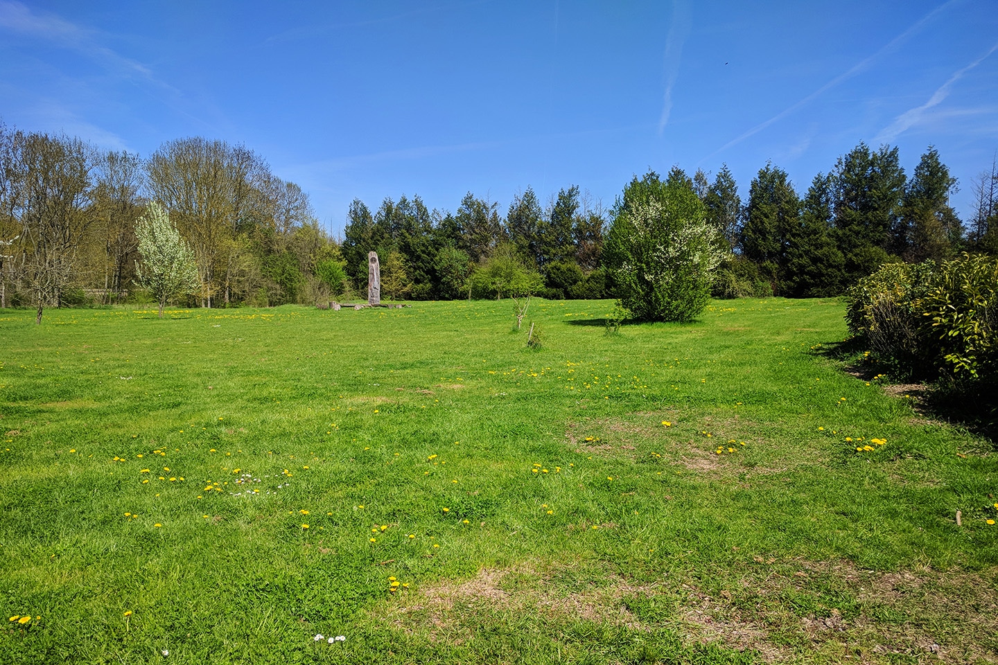 Microaventure à Paris - Terrain de camping à la Bergerie