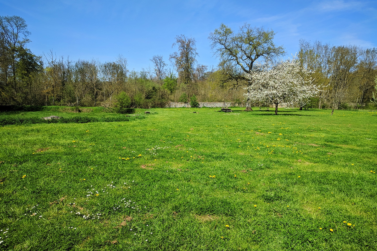 Microaventure à Paris - Terrain de camping à la Bergerie