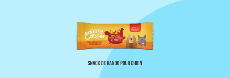 Randonner avec son chien snack