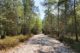  Photo Traversée de la Forêt de Rambouillet pour Week-ends rando