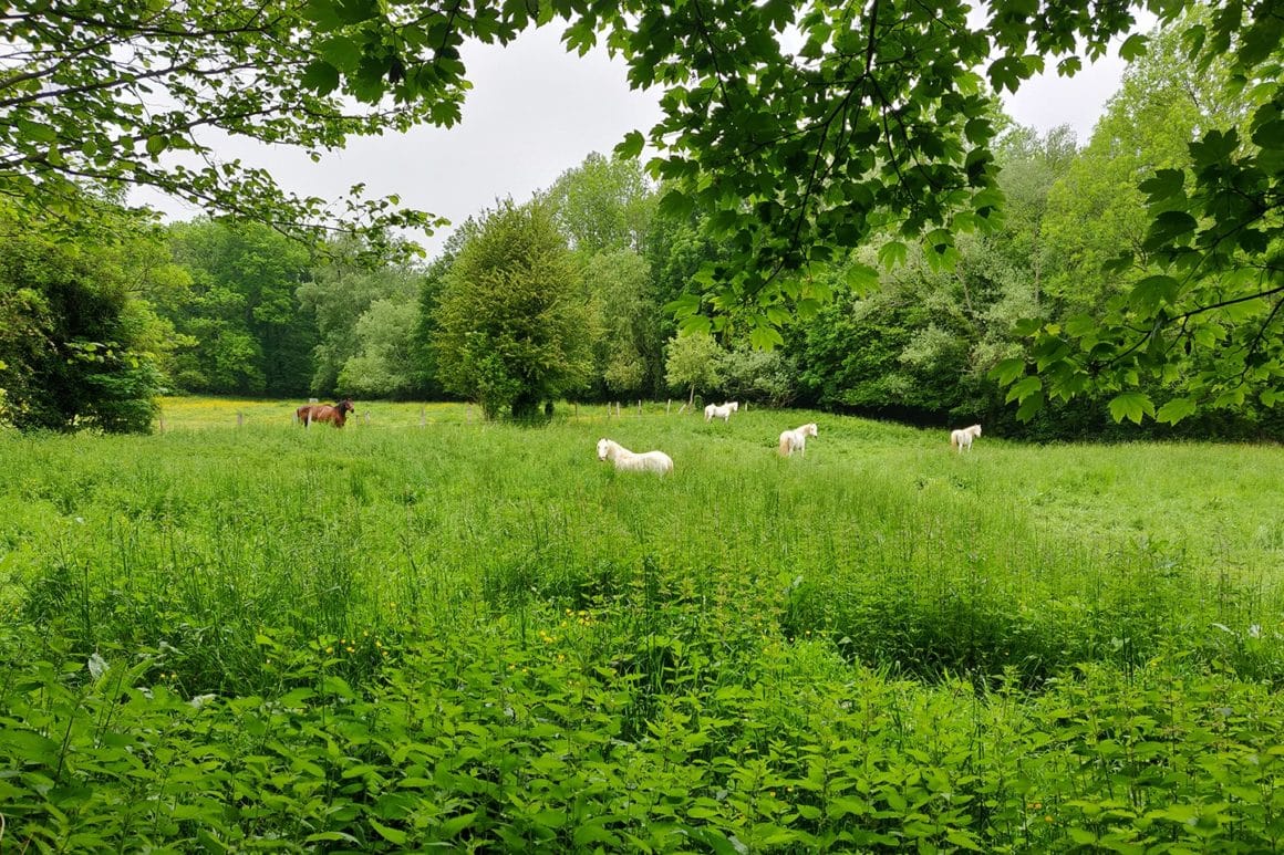 Photo Chevaux dans le Vexin pour Week-ends rando