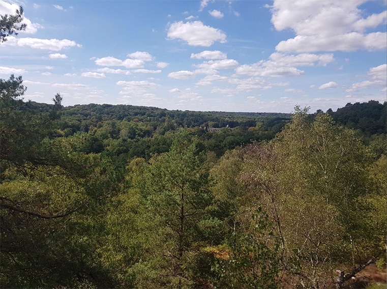 Photo du Bois des 500 Arpents