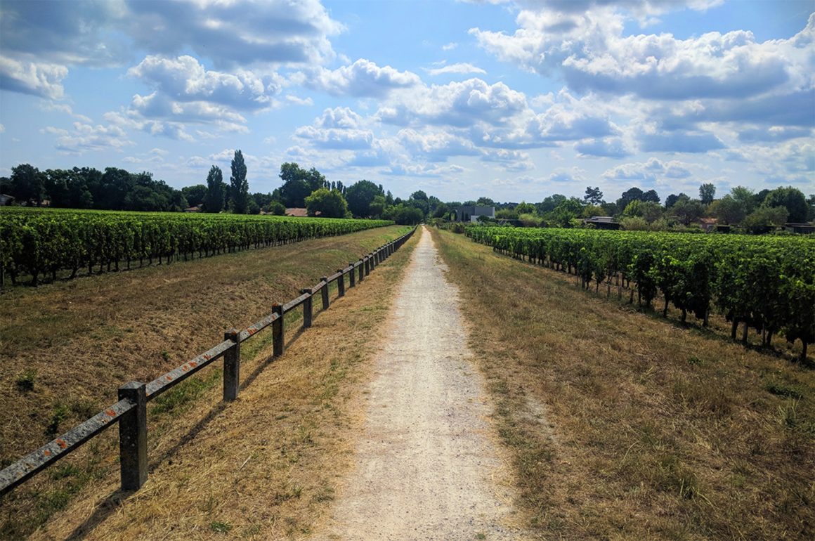 Randonnée Bordeaux Vignes près du Prieuré de Cayac