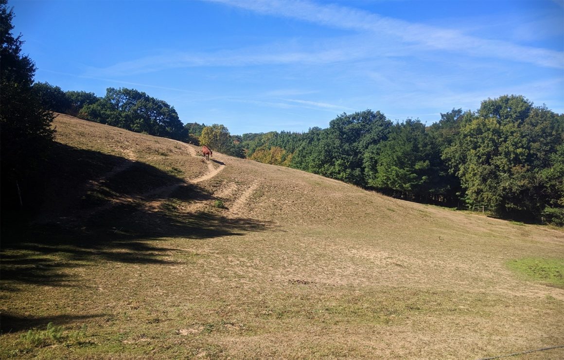 Balade des alentours de l'Yzeron