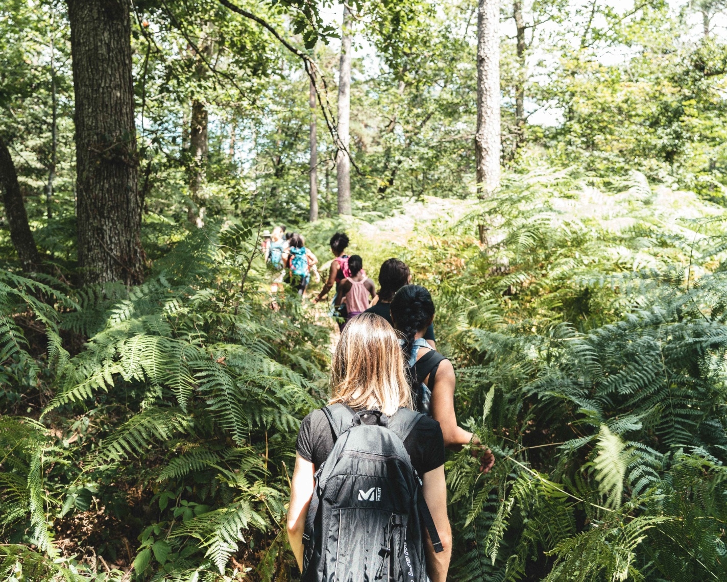 Photo de la forêt de Fontainebleau