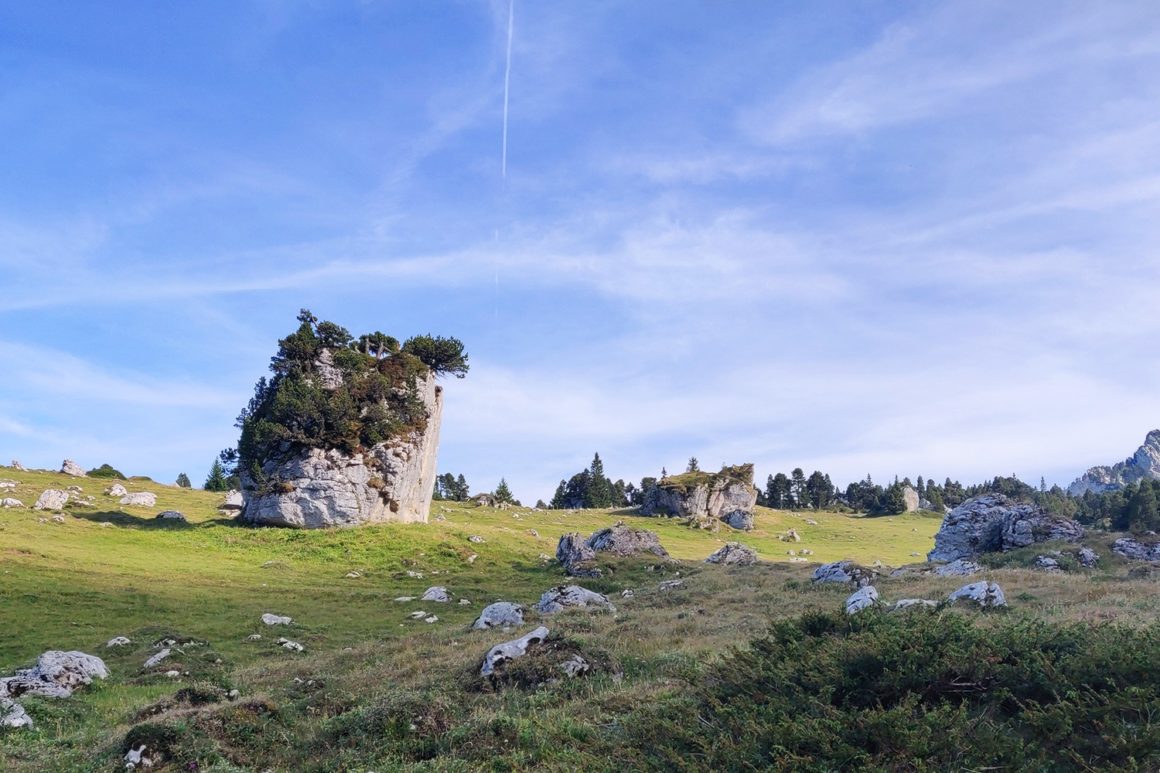 Photo du plateau de Chartreuse