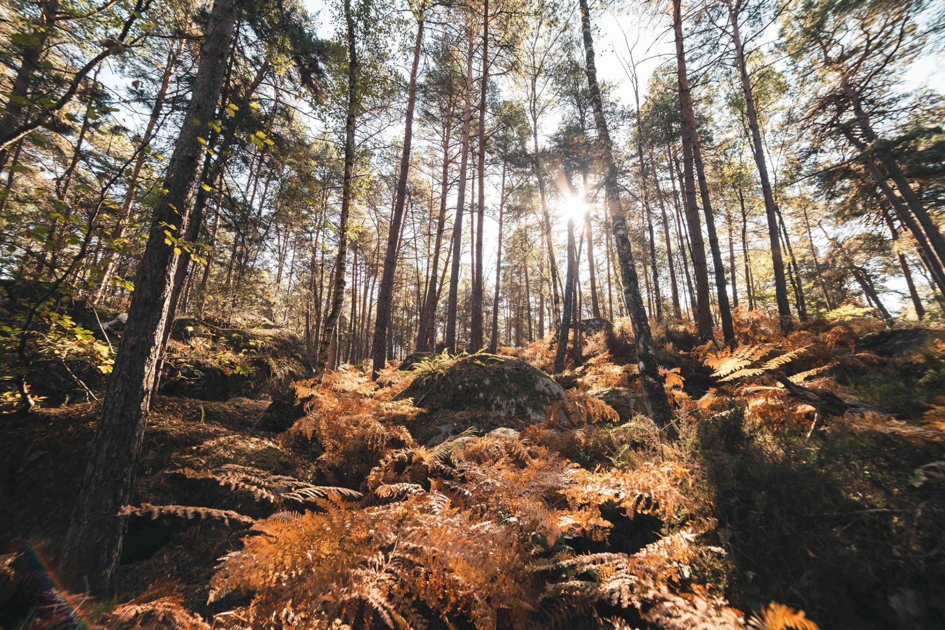Notre Playlist Pour Un été Rando En Musique