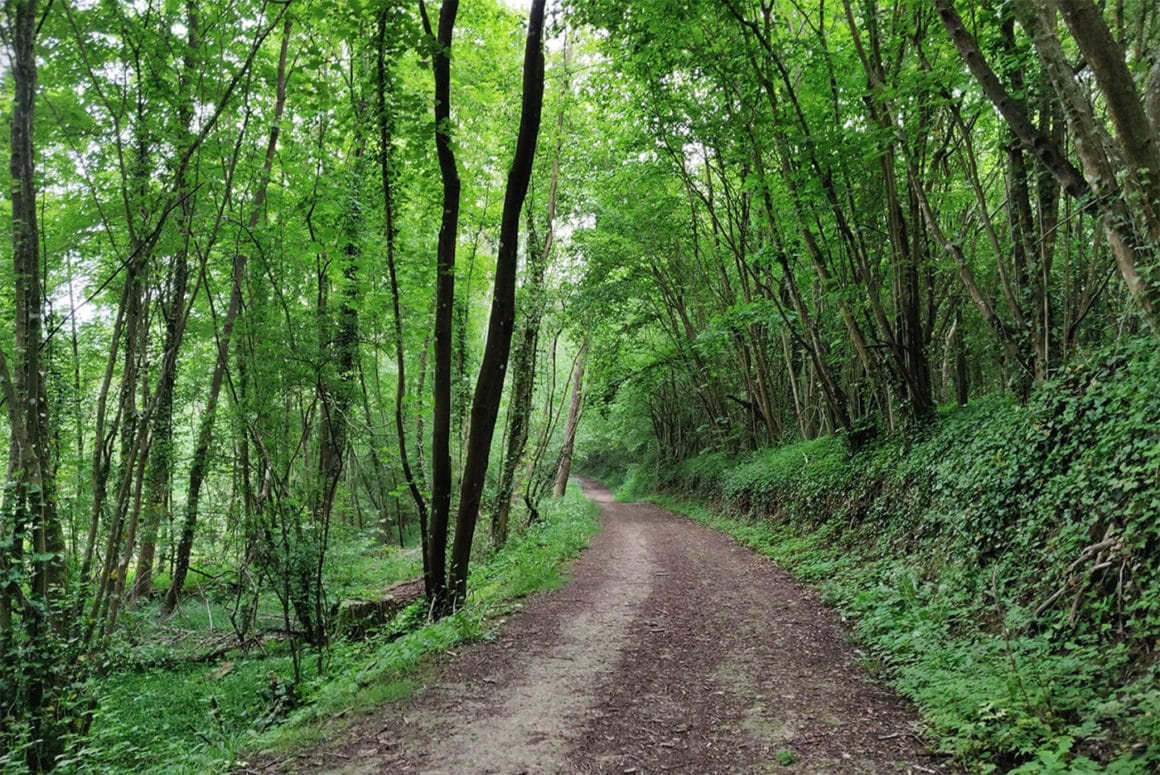 Photo Balade en forêt sur la Vexin Express