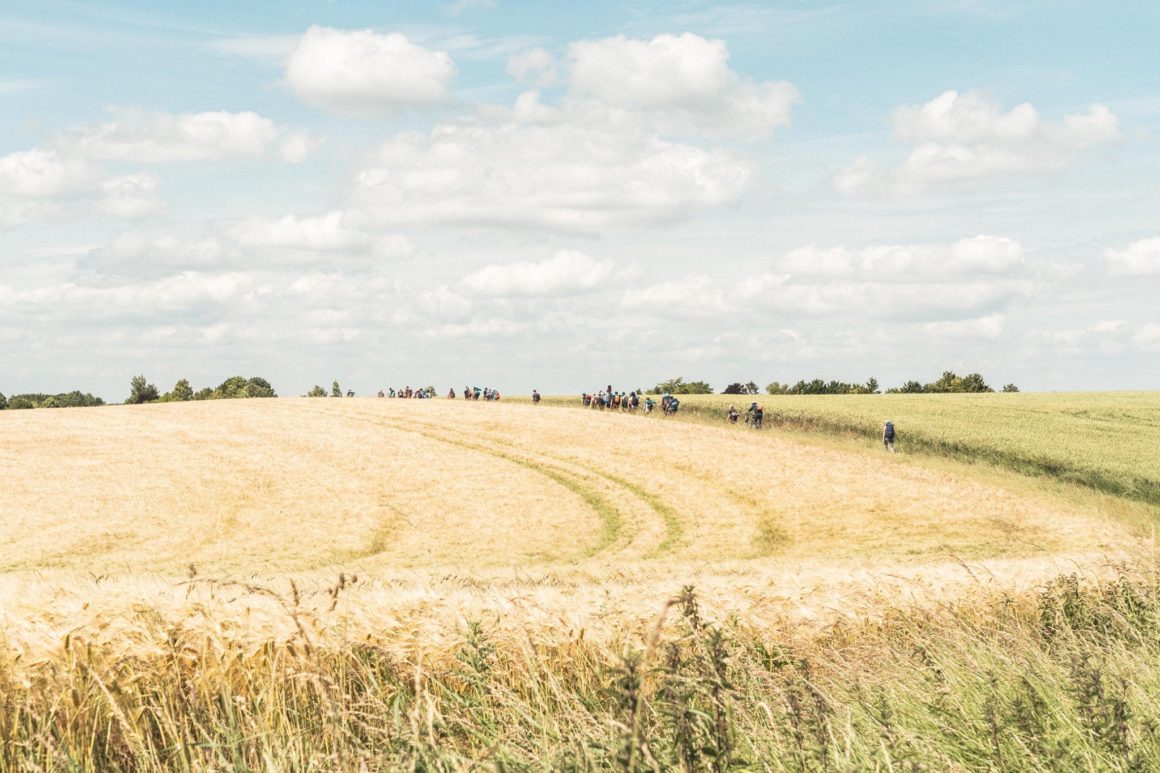 Photo Dans les Champs près de Chevreuse