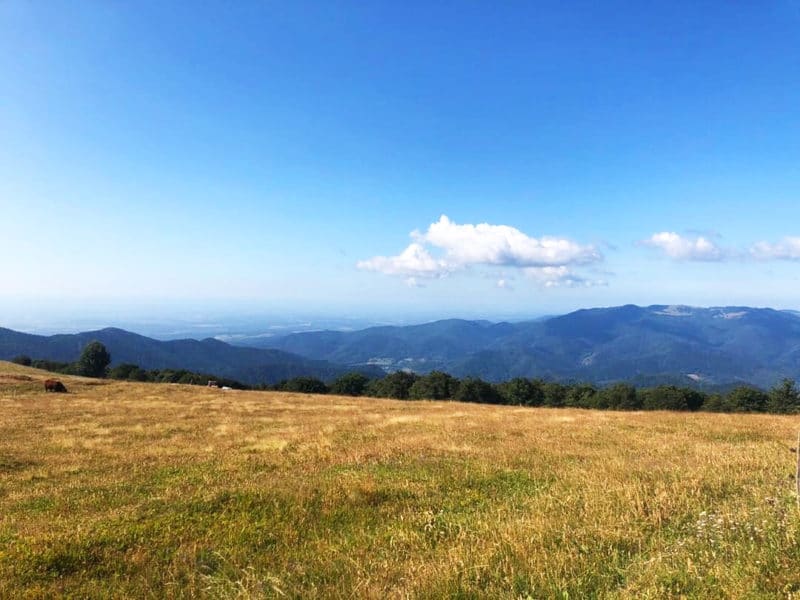 Randonnée Vosges Paysage Montagne