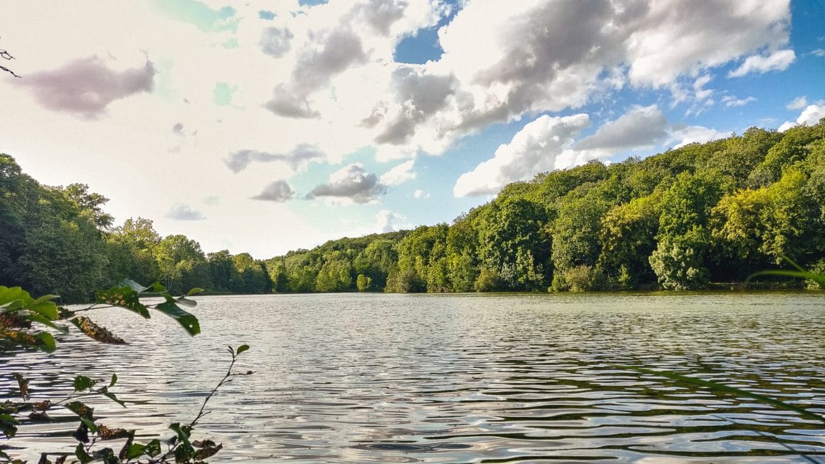 Étang Forêt de Versailles