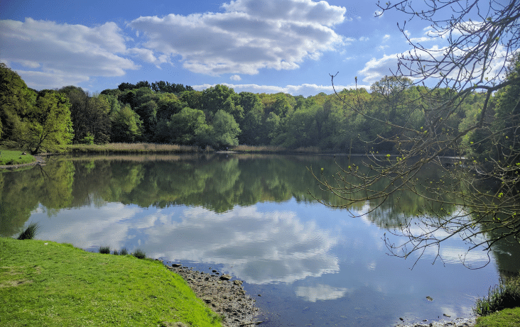 Étang de Meudon