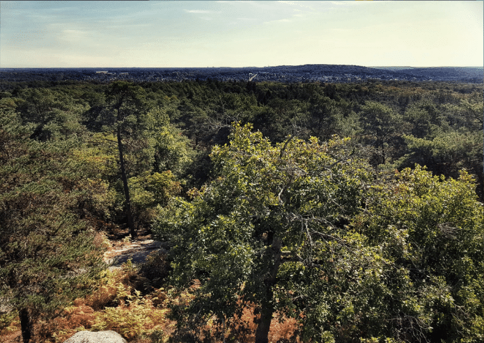 Randonnée Île-de-France - Vue sur la forêt de Fontainebleau
