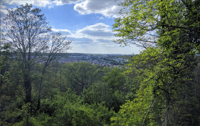 Randonnée Île-de-France - Vue sur Versailles