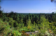 Vue sur la forêt de Fontainebleau