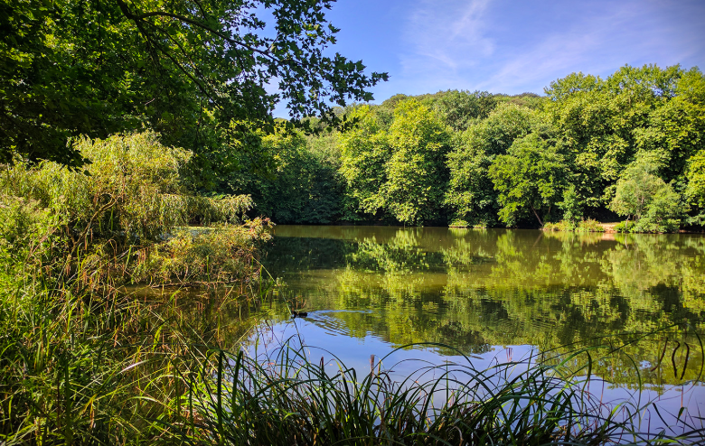 Randonnée Île-de-France étang à Meudon