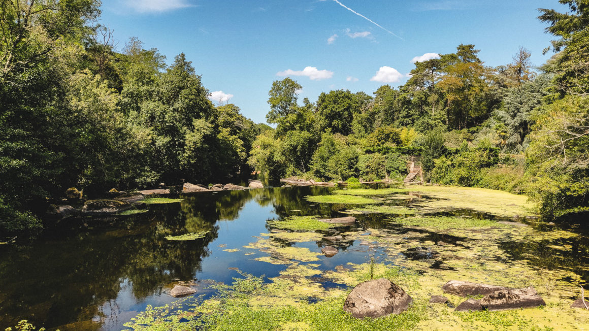 Randonnée sur les bords de la Sèvre Nantaise