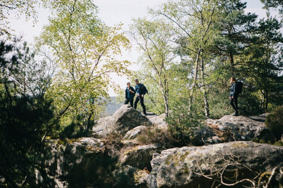 Rochers de Fontainebleau