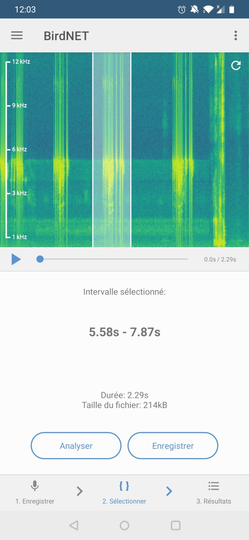 Birdnet, une application pour reconnaitre le chant des oiseaux