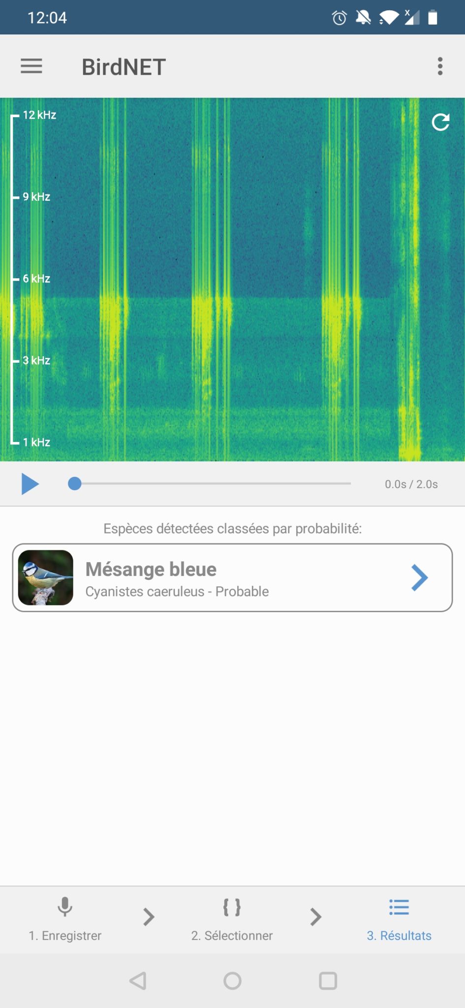 Écran de résultat de Birdnet