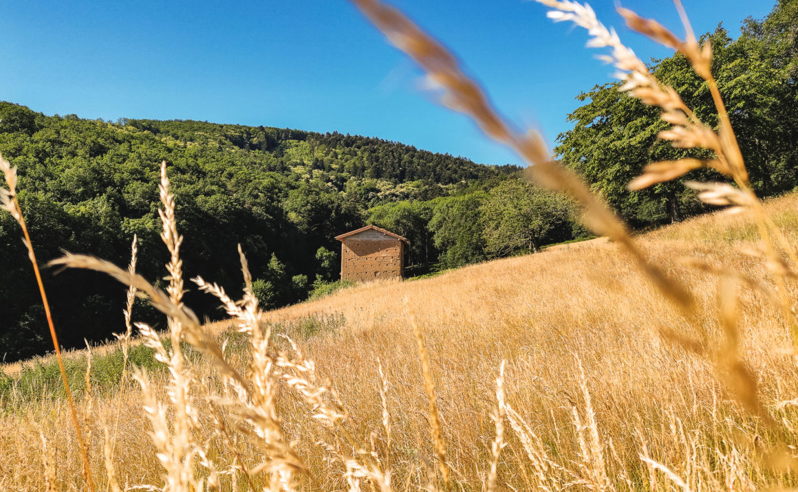 Micro-aventure à Lyon - Monts du Lyonnais