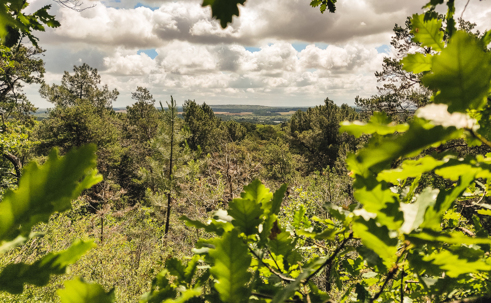 Randonnee Montigny-sur-Loing