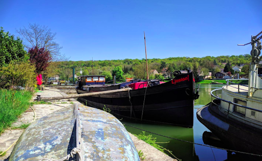 La seine Sauvage