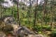 Forêt de Fontainebleau