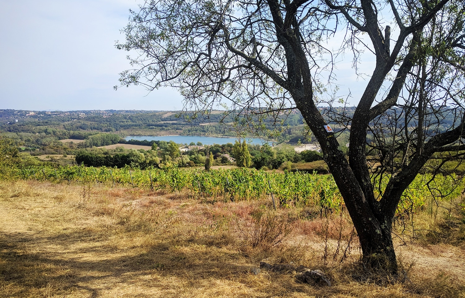 Randonnée dans les landes