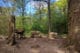 Dolmens en forêt de Meudon