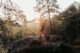 Micro-aventure traversée de la forêt de Fontainebleau