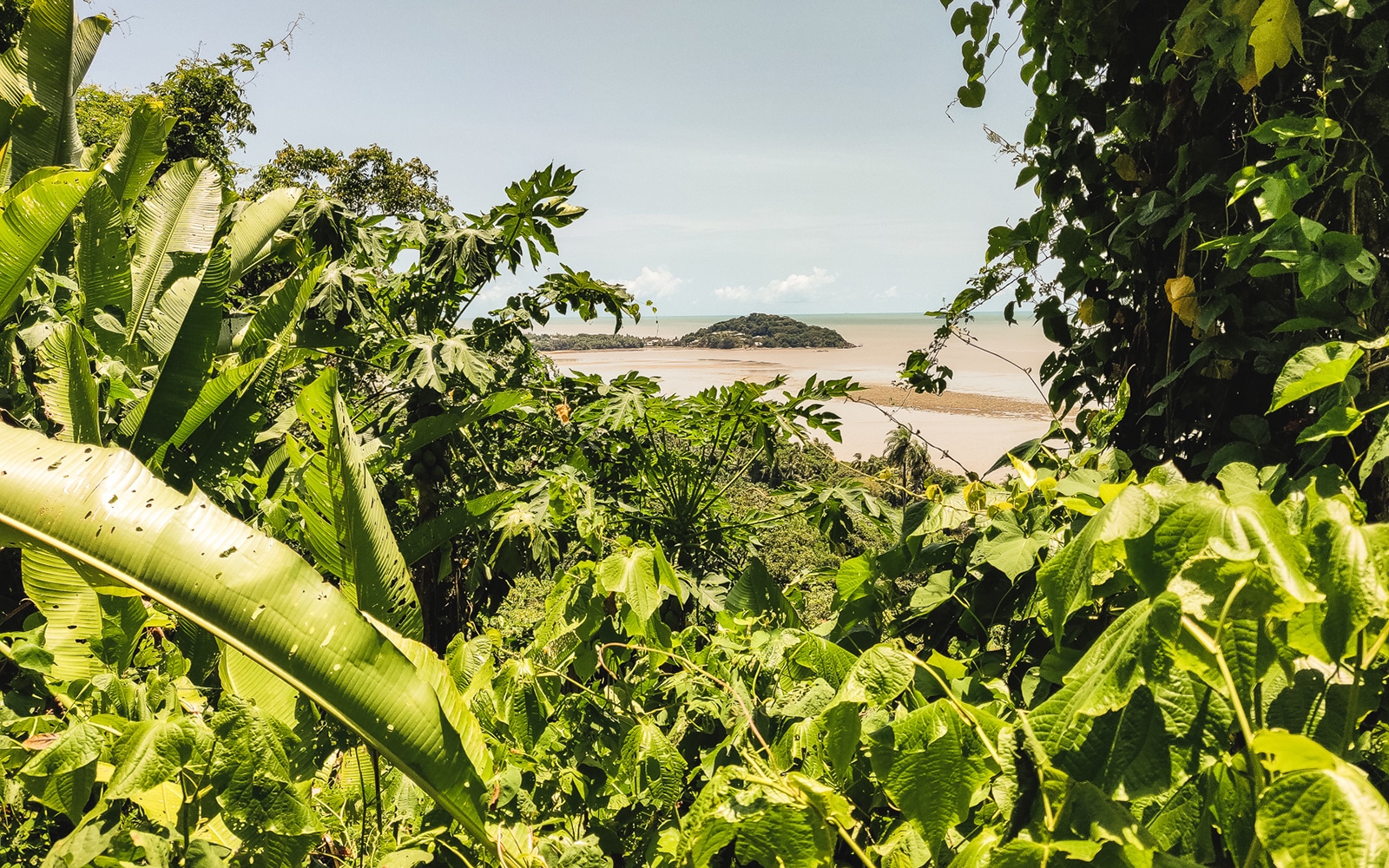 Sentier du Rorota Guyane