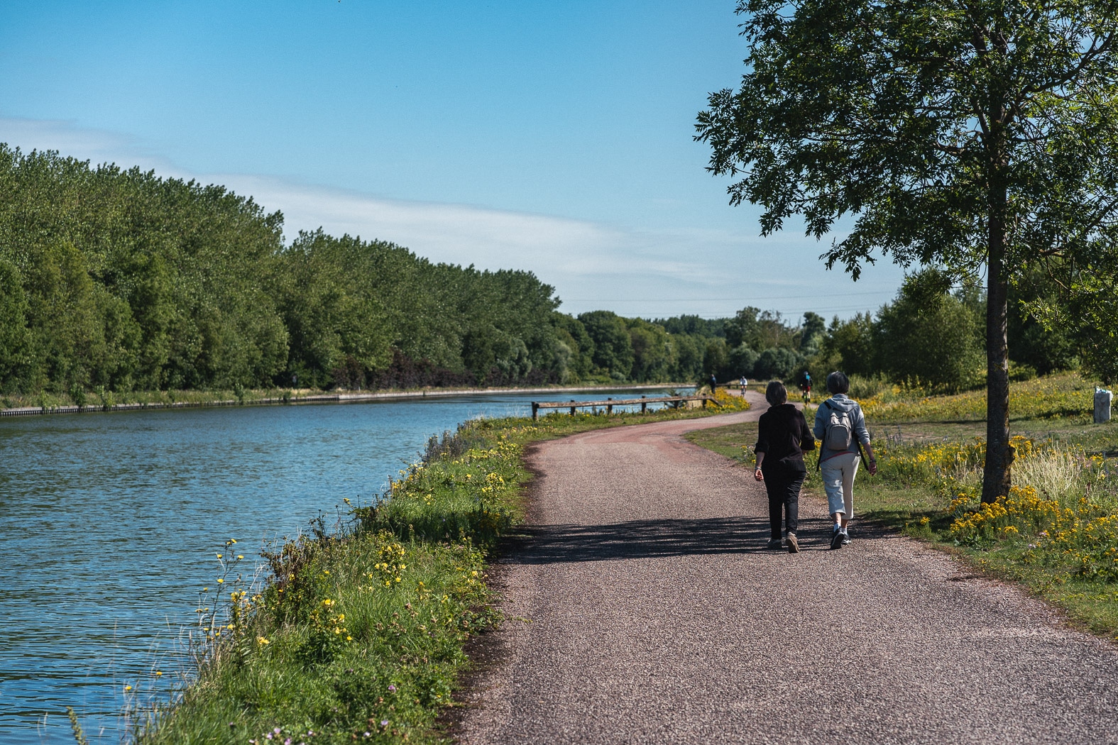 Entre le canal d'Air et de la Deûle