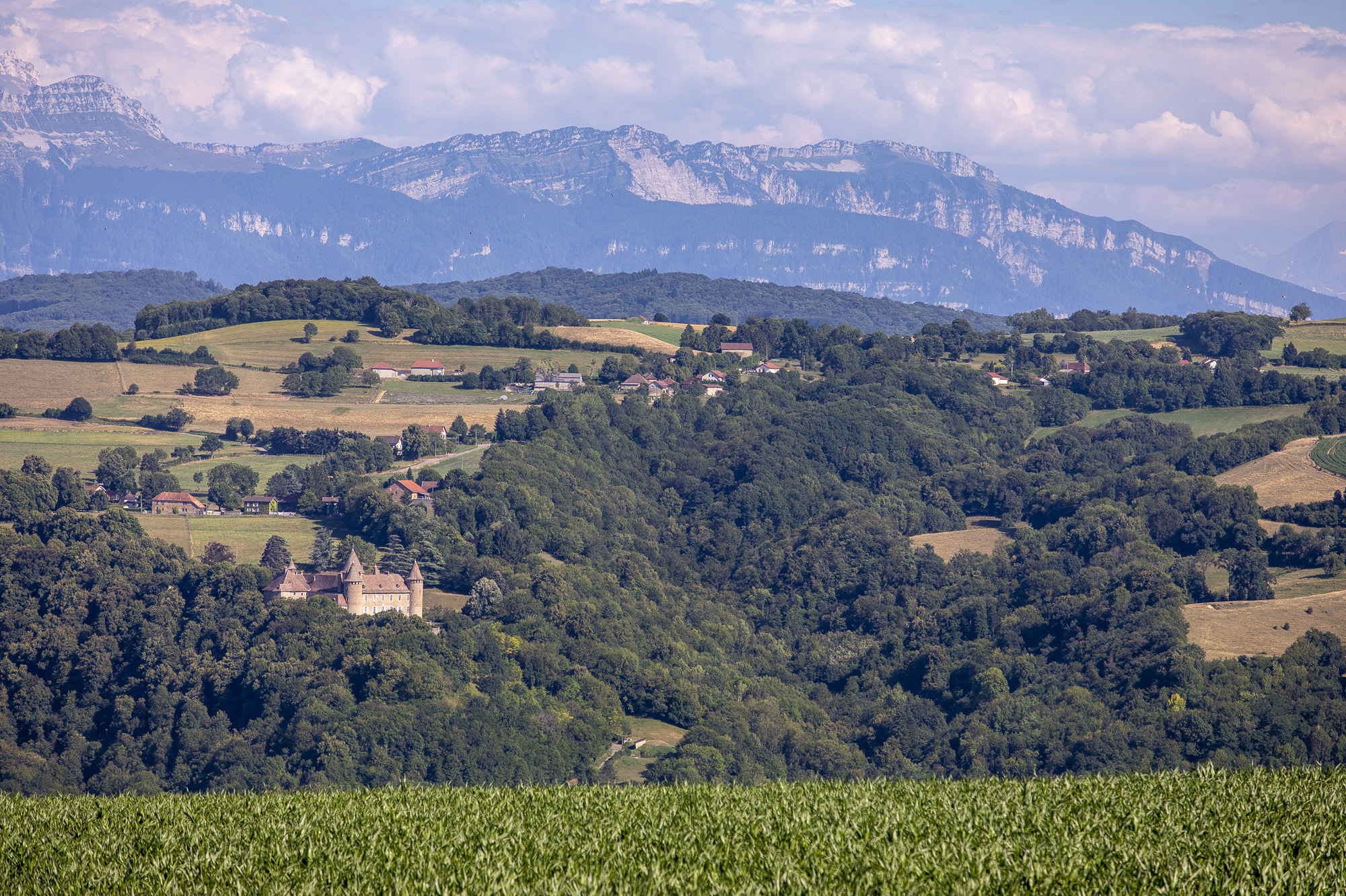 Château et vallon du Dauphiné