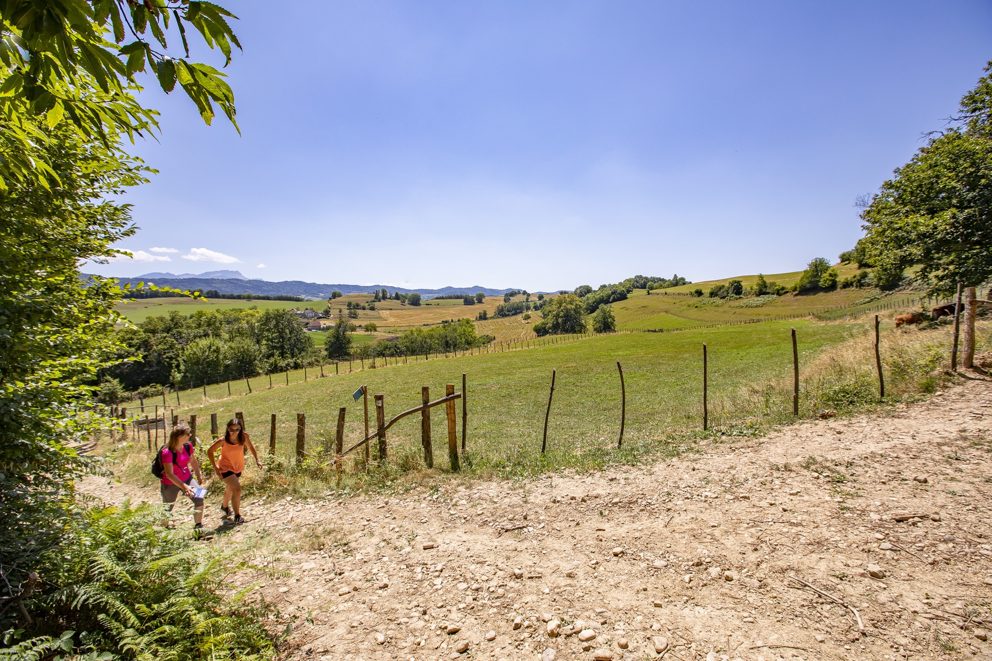 Randonnée dans le Dauphiné