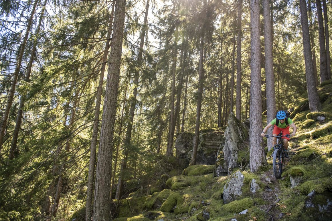 VTT entre les arbres en Suisse