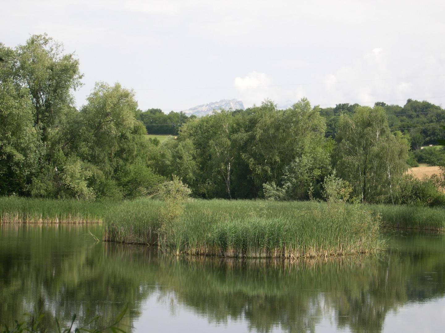 Plateau de Champagnier