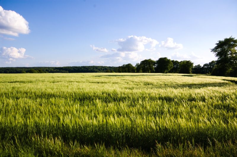 Campagne Sarthe