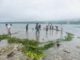 Pêcheur traditionnel Vanuatu