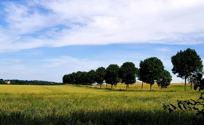 Lagny sur Marne