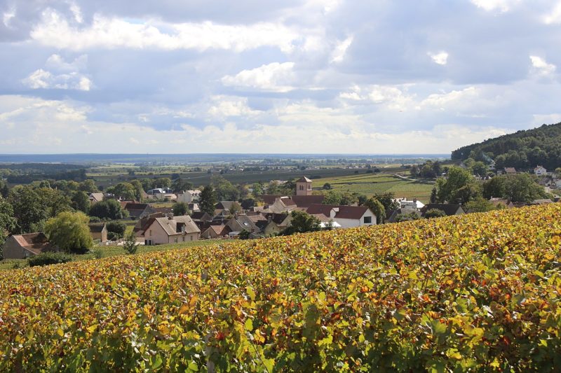 Randonnées Bourgogne automne
