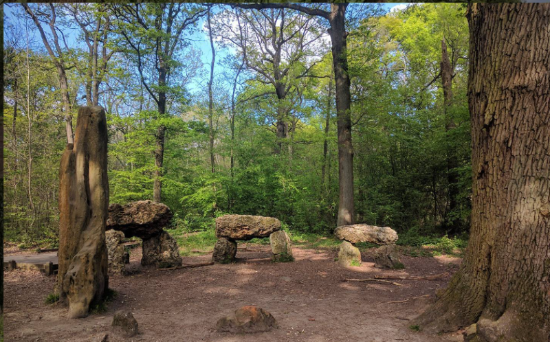 En forêt de Meudon -Yvelines