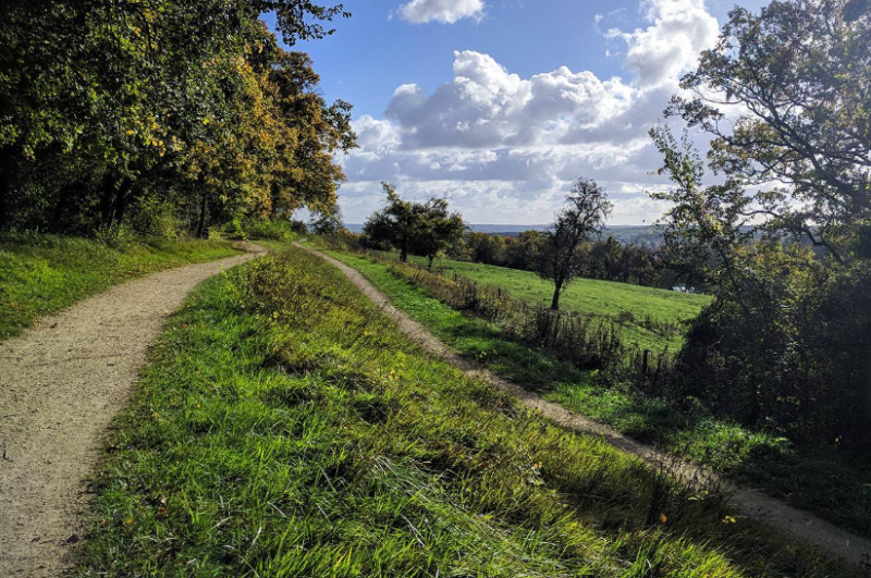 Bois de Bernouille Coudron