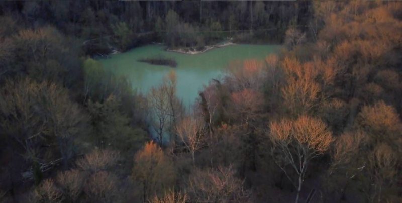 La forêt de Carnelle