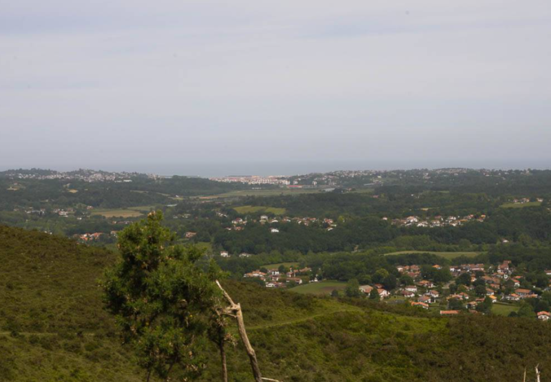 Pays Basque Ibarun