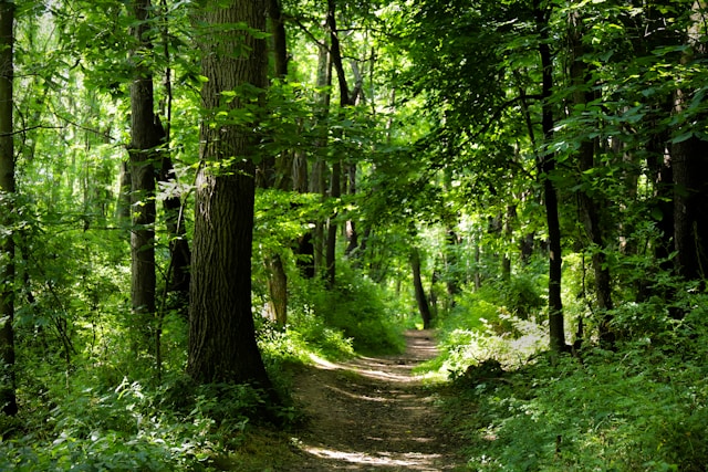 Appalachian Trail